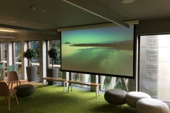 large-projector-screen
