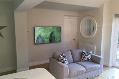 large-TV-wall-mounting-dorset